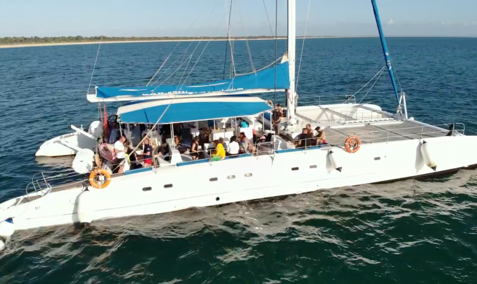 F60CA6CF-8A9D-4647-8364-F89400F0F564